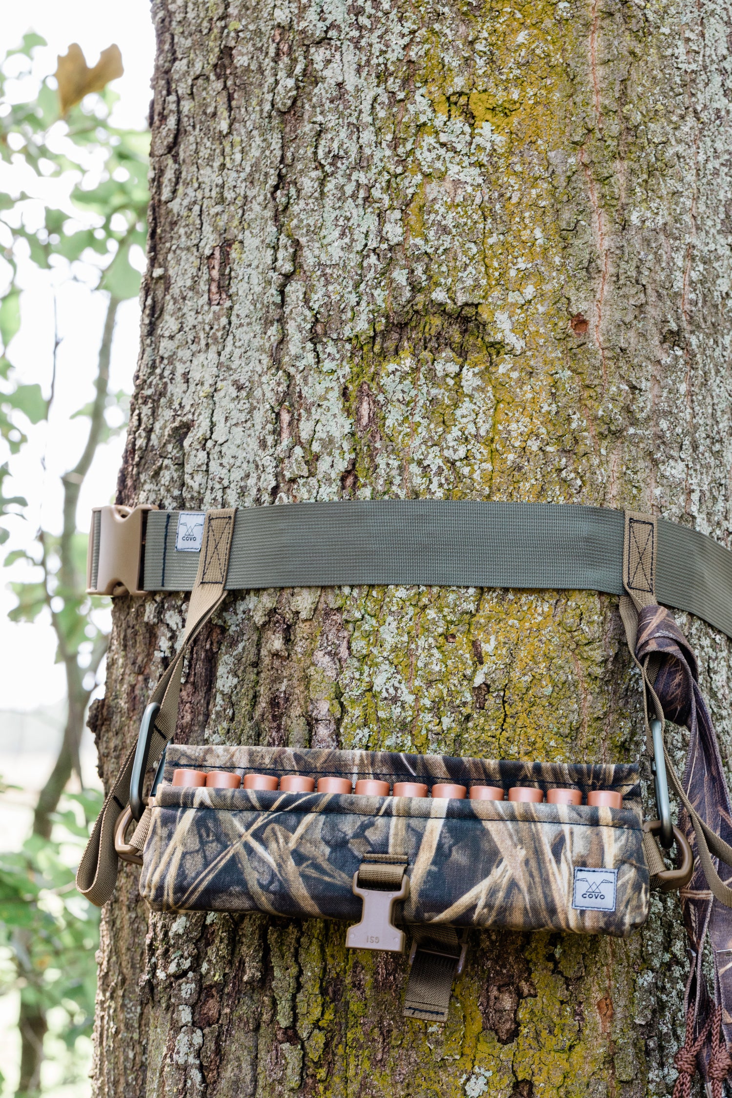 VENDETTA Timber Belt