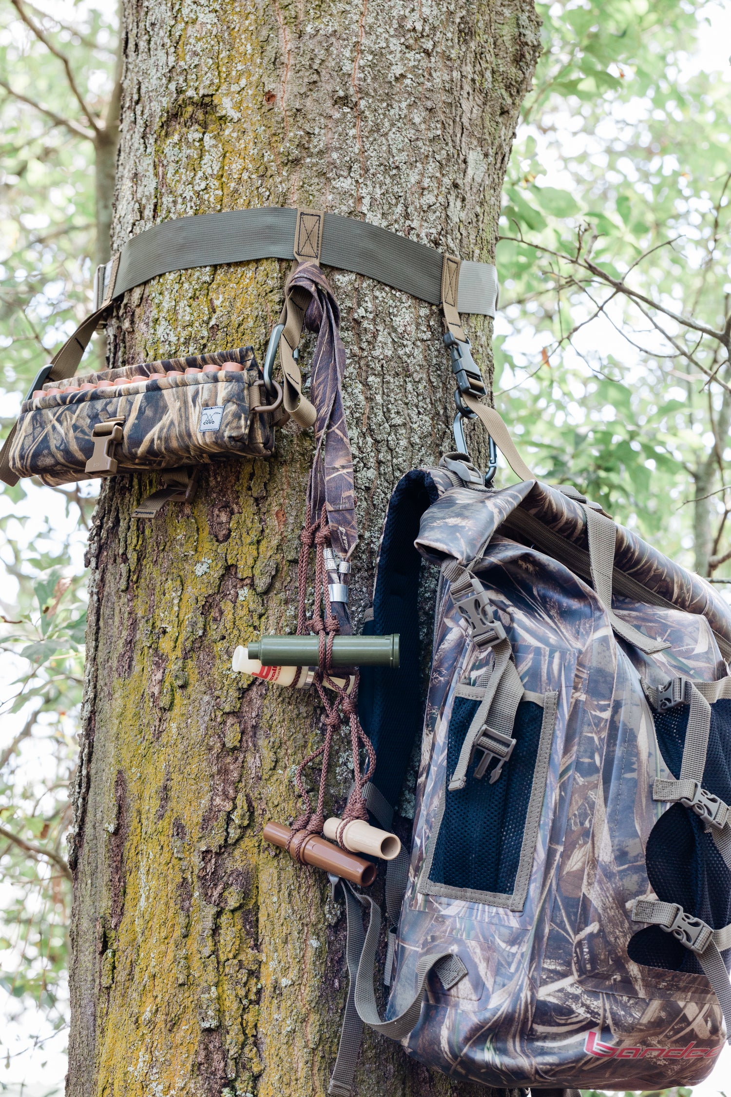 VENDETTA Timber Belt